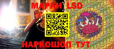 гидра Волгодонск