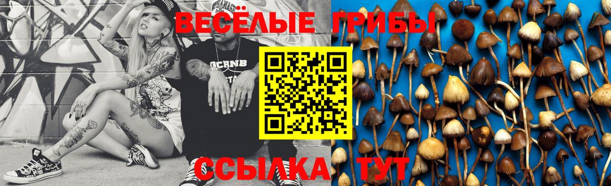 Галлюциногенные грибы мухоморы  Вход с VPN  Можайск  Псилоцибиновые грибы MAGIC MUSHROOMS 